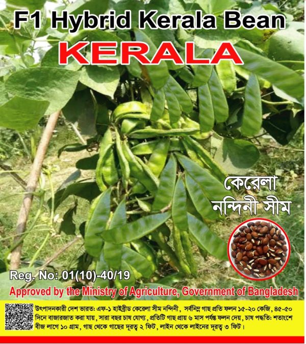 কেরেলা নন্দিনী সীম